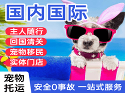 九寨黄龙空运公司国际宠物托运 【国